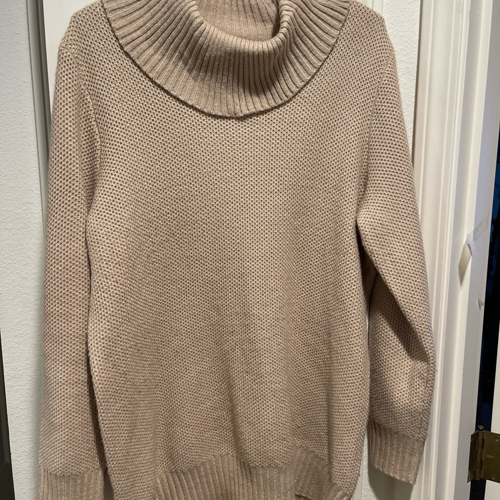 Cozy Beige sparkly Turtleneck Sweater